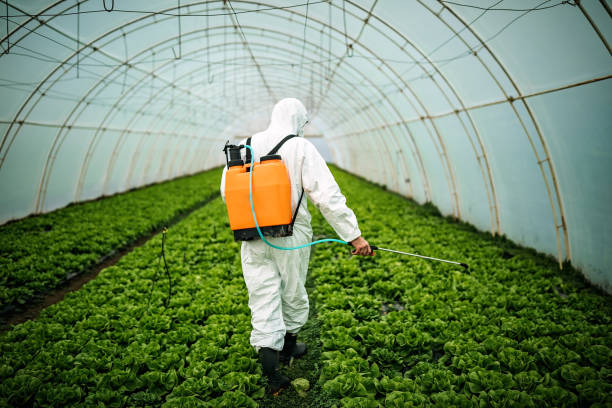Best Best Pest Control Companies  in Bass Lake, IN