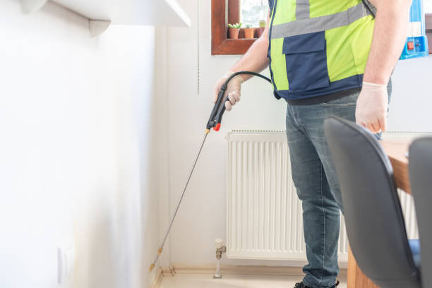 Best Wasp Removal Services  in Bass Lake, IN