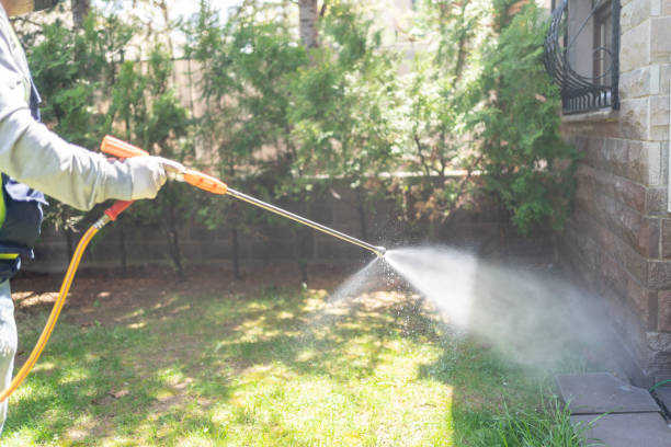 Bird Control in Bass Lake, IN